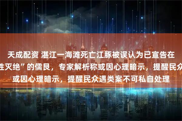 天成配资 湛江一海滩死亡江豚被误认为已宣告在中国大陆沿海“功能性灭绝”的儒艮，专家解析称或因心理暗示，提醒民众遇类案不可私自处理