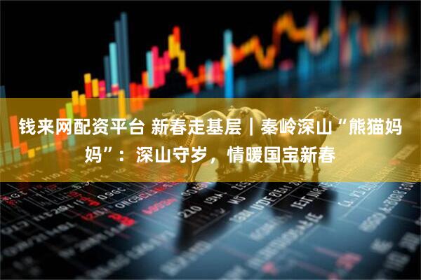 钱来网配资平台 新春走基层｜秦岭深山“熊猫妈妈”：深山守岁，情暖国宝新春