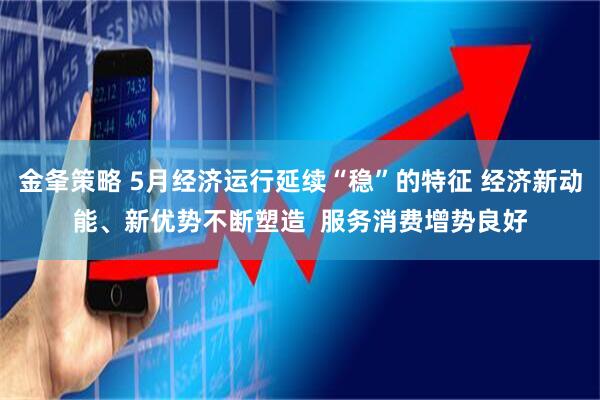 金夆策略 5月经济运行延续“稳”的特征 经济新动能、新优势不断塑造  服务消费增势良好